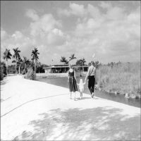 Everglades at Vintage Photo Exhibit Artist Reception