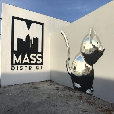 MASS District