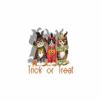 Trick or Treat with the Animals
