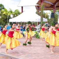 Wilton Manors Hawaiian Festival