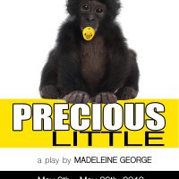 PRECIOUS LITTLE by Madeleine George