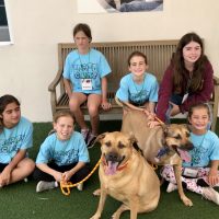 Humane Society of Broward County Pet Play Date Camp