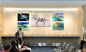 Artwork in Airport for Passengers viewing during travel