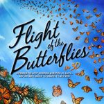 Flight of the Butterflies in 3D