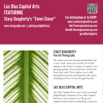 Gallery 1 - Las Olas Capital Arts Presents: Stacy Daugherty’s Solo Exhibition 