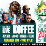 Gallery 1 - 3rd Annual Afro-Carib Festival