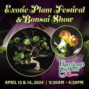 Flamingo Gardens' Exotic Plant Festival & Bonsai Show
