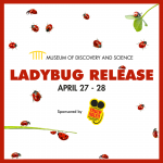 Museum of Discovery and Science’s Ladybug Release