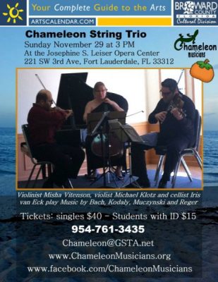 Chameleon Chamber Music: String Trio