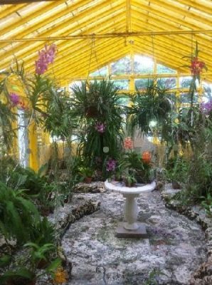 Orchid Greenhouse Tours