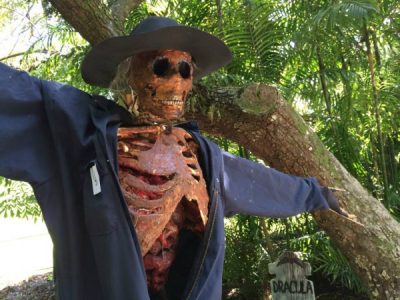 5th Annual Great Scarecrow Competition